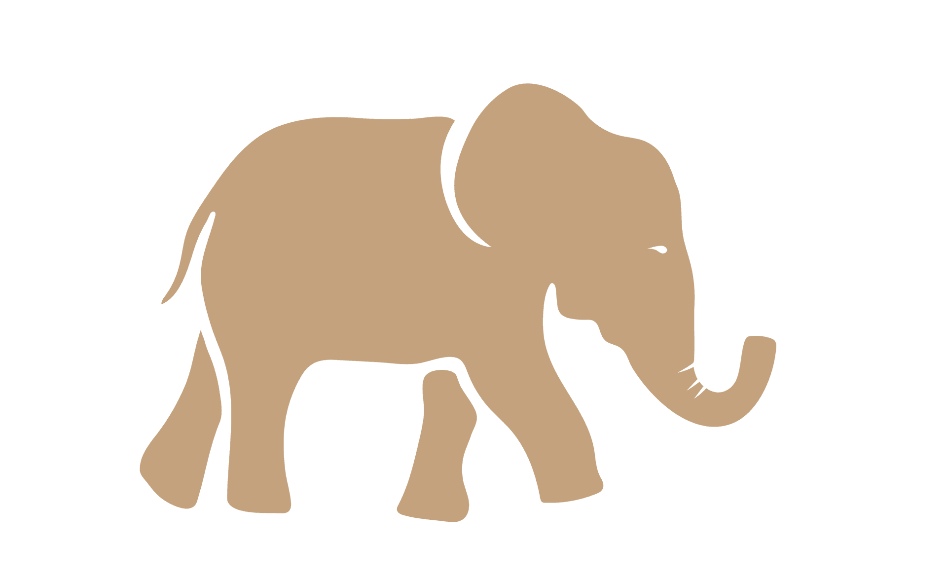 Tindlovu elephant